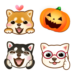 Dogs over Flowers4(autumn)modified ver
