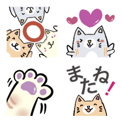 cute cats eveyday emoji