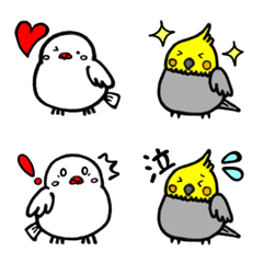 cockatiel and sparrow simple version