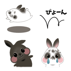 black rabbit and panda rabbit