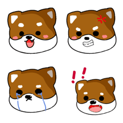 柴犬物語
