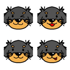 Dog and