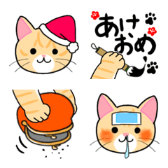 Brown tabby cat Komachi winter version