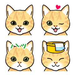 Fun interesting cat Emoji