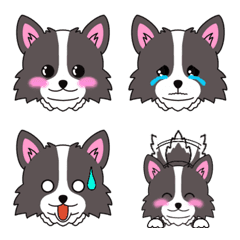 White and black chihuahua emoji
