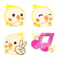 Fluffy Cockatiels everyday life