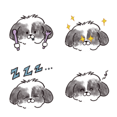 Hamuland-Fubo Shihtzu