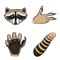 Animal finger letter raccoon version1