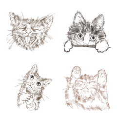 sketch of cats