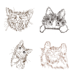 sketch of cats