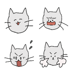 cat various expression