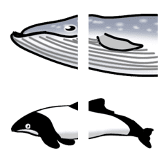 Whales, dolphins and sea mammals