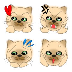 CAT Emoji AAA