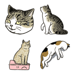 Cat lover emoji2