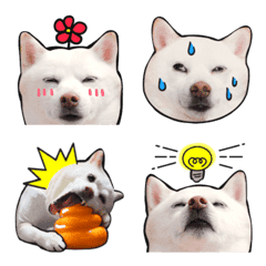 Mameshiba"Daifuku"Emoji