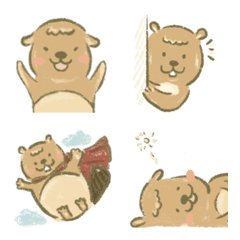 花俏可愛的小河狸