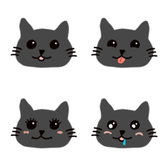 gray cat many cute face