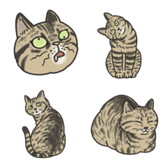 Brown tabby cat lover emoji