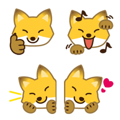 cute foxes