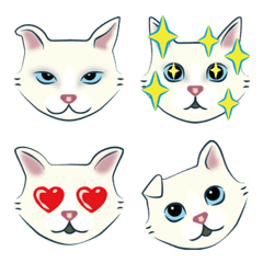 White Cat face pictograph