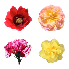 photo flower emoji