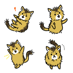 Kitten somali emoji