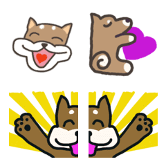 Shibainu mocky