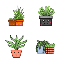 Cute Cactus plants