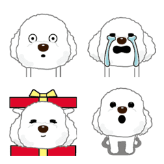 Animation! White color toy poodle