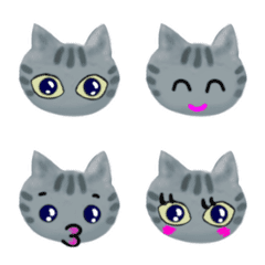 Cat Ame-chan American Shorthair Emoji