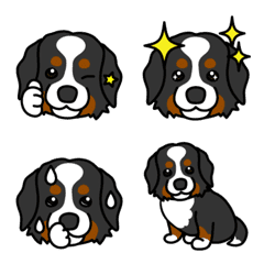 Various Bernese Mountain Dog Emoji