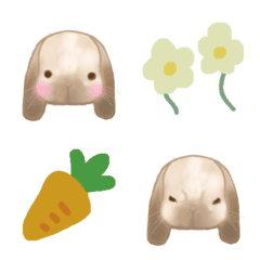 rabbit bunny ojotan cute simple