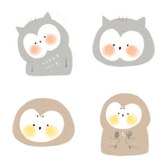 owl everyday