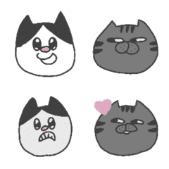 CAT  SISTAR'S