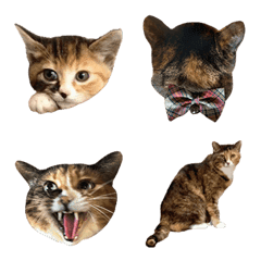 UME_Emoji