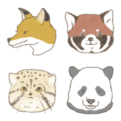 different animal faces