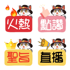 Plus Cat Meow Chinese Useful Tags