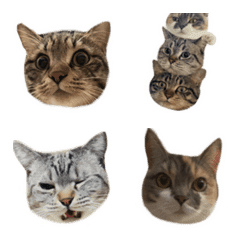 Meowmoji!