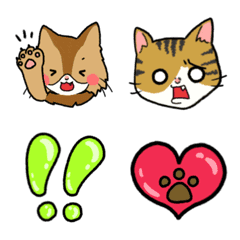 cat Emoji every day