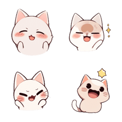 expressive kitten