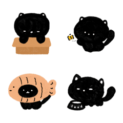 Black cat cool cool