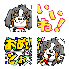 Bernese Mountain Dog emoji fix