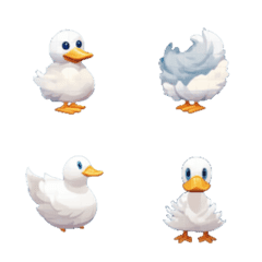Unkown Duck