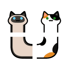 iquid cat_Siamese&calico