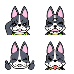 French bulldog emoji (pied)