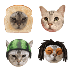 Vick meow meow