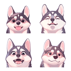 Mischievous Husky's various emotions