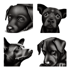 Cute Black Dog - Various Expressions