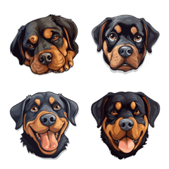 Daily life of a Rottweiler