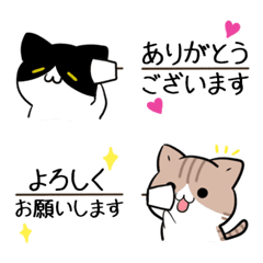 Cats emoji that can be used every day6